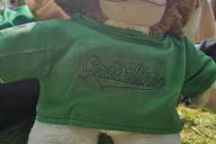 IMG-20240414-WA0022